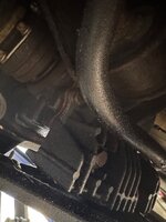 IMG_1219.jpeg