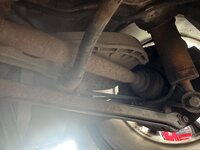 IMG_1220.jpeg