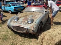 IMG_0128.jpeg