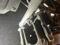 IMG_1788.jpeg