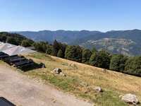 IMG_0353.jpeg