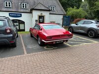 IMG_1024.jpeg