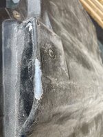 IMG_8522.jpeg IMG_8522.jpeg