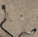 IMG_4219.jpeg