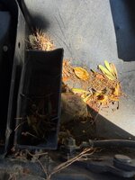 IMG_2039.jpeg IMG_2039.jpeg
