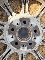 IMG_9294.jpeg