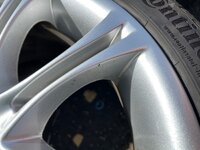 IMG_3830.jpeg IMG_3830.jpeg