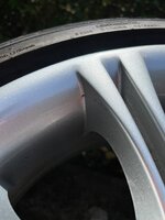 IMG_3831.jpeg IMG_3831.jpeg