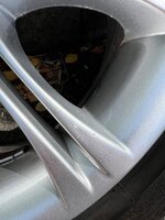 IMG_3839.jpeg IMG_3839.jpeg
