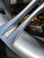 IMG_3840.jpeg IMG_3840.jpeg
