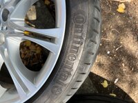 IMG_3841.jpeg IMG_3841.jpeg