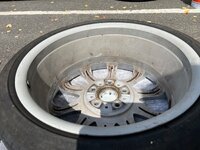 IMG_3852.jpeg