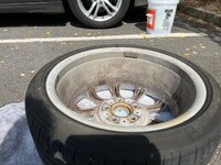 IMG_3857.jpeg