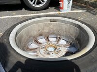IMG_3858.jpeg