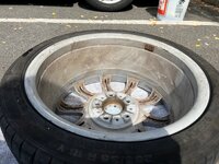 IMG_3863.jpeg