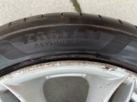 IMG_5115.jpeg
