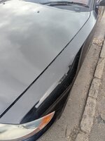 PXL_20260801_160511045.jpg