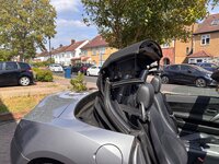 IMG_4209.jpeg