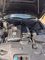 IMG_4220.jpeg