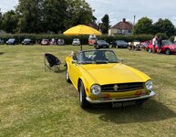 IMG_8788.jpeg IMG_8788.jpeg