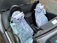 IMG_2065.jpeg