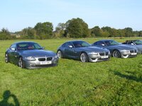 Silver Grey P3.JPG Silver Grey P3.JPG