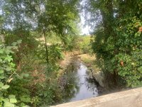 IMG_8631.jpg