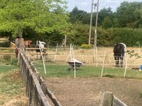 IMG_8629.jpg