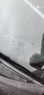 IMG_20260818_094747.jpg