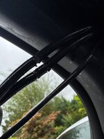 IMG_6642.jpeg