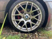 IMG_2247.jpeg