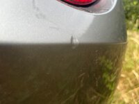IMG_2260.jpeg