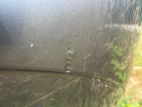 IMG_2261.jpeg