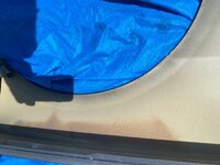 IMG_9253.jpeg