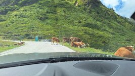 20260819_135012.jpg