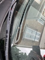IMG_0299.jpeg