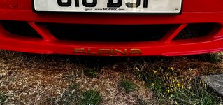 IMG_3029.jpeg