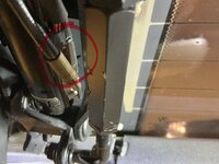 IMG_1931.jpeg