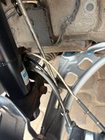 IMG_9013.jpeg