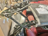 IMG_2021.jpeg