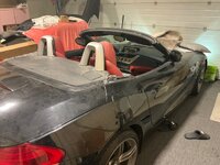 IMG_2034.jpeg