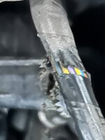 IMG_0194.jpeg