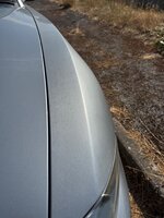 IMG_7027.jpeg