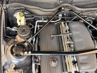 IMG_8247.jpeg