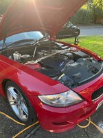 IMG_4719.jpeg