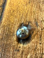 IMG_5320.jpeg