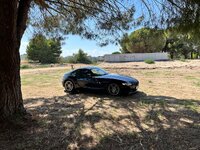 IMG_4579.jpeg