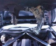 _20180415_201121.JPG _20180415_201121.JPG
