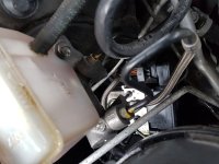 20180417_082746.jpg