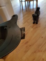 20180413_135541_preview.jpeg 20180413_135541_preview.jpeg